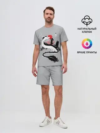 Мужской костюм с шортами / Тихиро гладит Хаку
