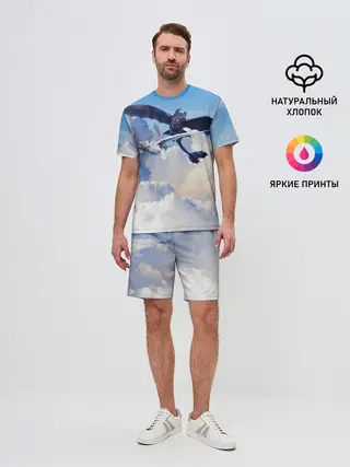 Мужской костюм с шортами / Night Fury