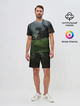 Мужской костюм с шортами / Верные друзья