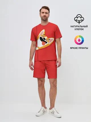 Мужской костюм с шортами / Вельш Корги Пемброк