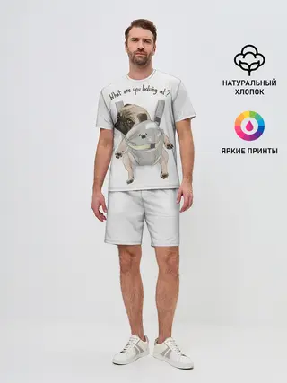 Мужской костюм с шортами / Мопс в рюкзаке