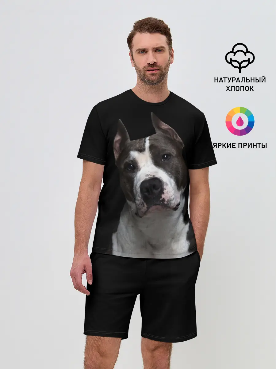 Мужской костюм с шортами / Американский питбуль