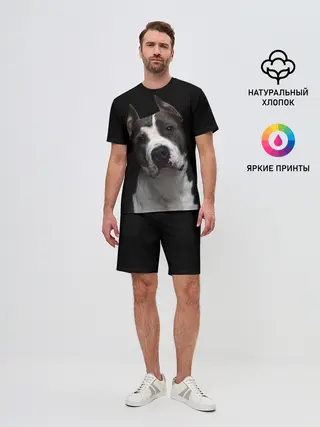 Мужской костюм с шортами / Американский питбуль