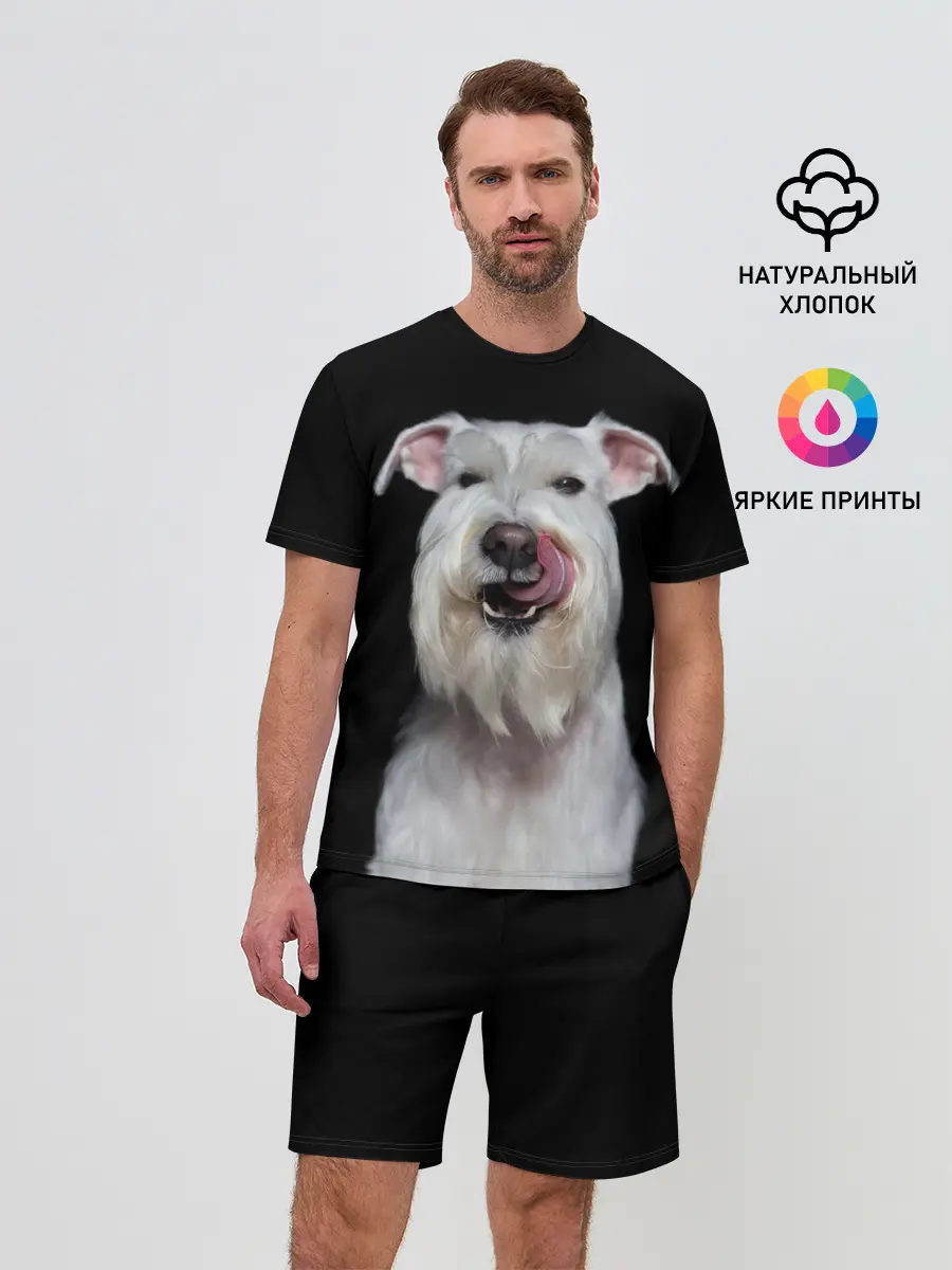 Мужской костюм с шортами / Белый шнауцер