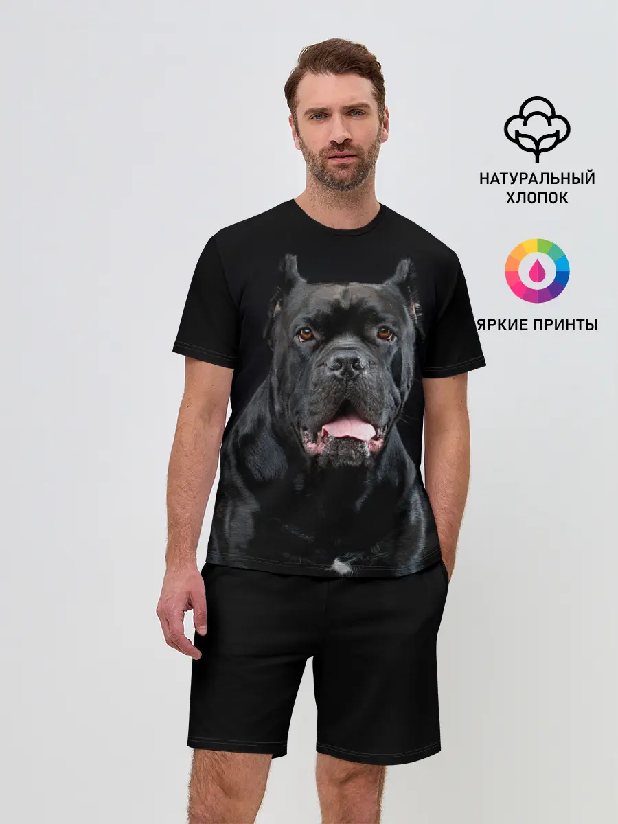 Мужской костюм с шортами / Черный кан - корсо