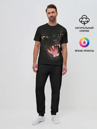 Мужская пижама с брюками / Черный кот