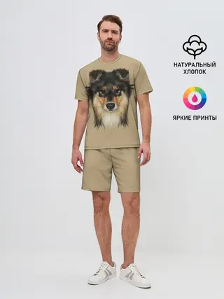 Мужской костюм с шортами / Sheltie