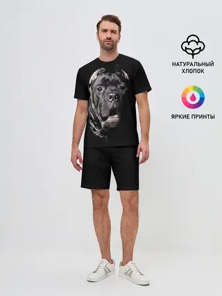 Мужской костюм с шортами / Мастиф