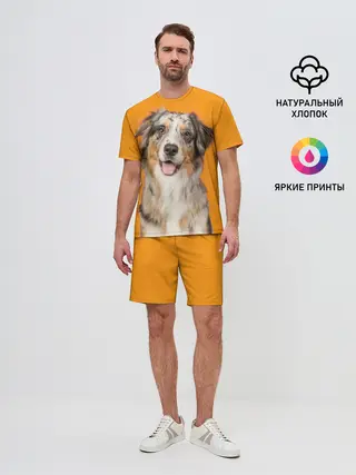 Мужской костюм с шортами / Австралийская овчарка