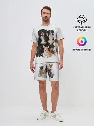 Мужской костюм с шортами / Породистые собаки