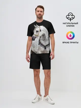 Мужской костюм с шортами / Серый в яблоках конь