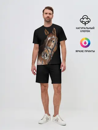 Мужской костюм с шортами / Гнедая лошадь