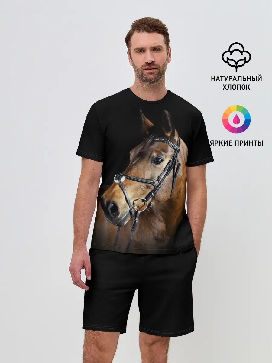 Мужской костюм с шортами / Гнедая лошадь