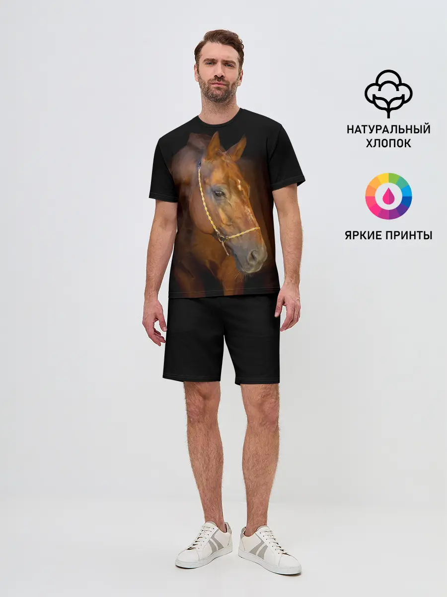 Мужской костюм с шортами / Гнедая лошадь