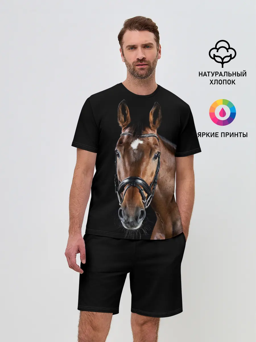 Мужской костюм с шортами / Гнедая лошадь