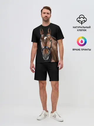 Мужской костюм с шортами / Гнедая лошадь
