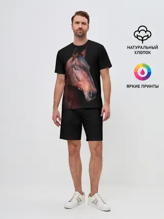Мужской костюм с шортами / Гнедая лошадь