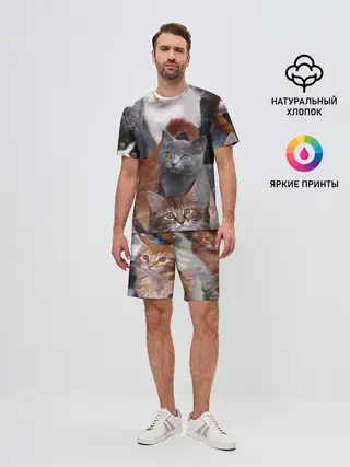 Мужской костюм с шортами / Много котов
