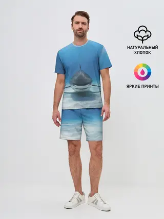 Мужской костюм с шортами / Анфас