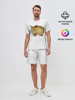 Мужской костюм с шортами / ЧИЛИПИ*ДРИК