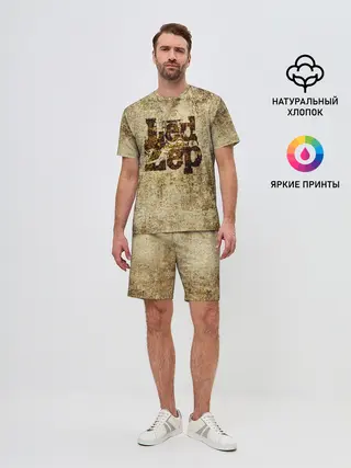 Мужской костюм с шортами / Led Zeppelin