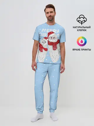 Мужская пижама с брюками / С Рождеством! Совы