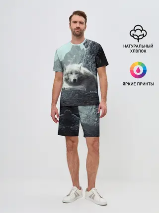 Мужской костюм с шортами / Волк в горах