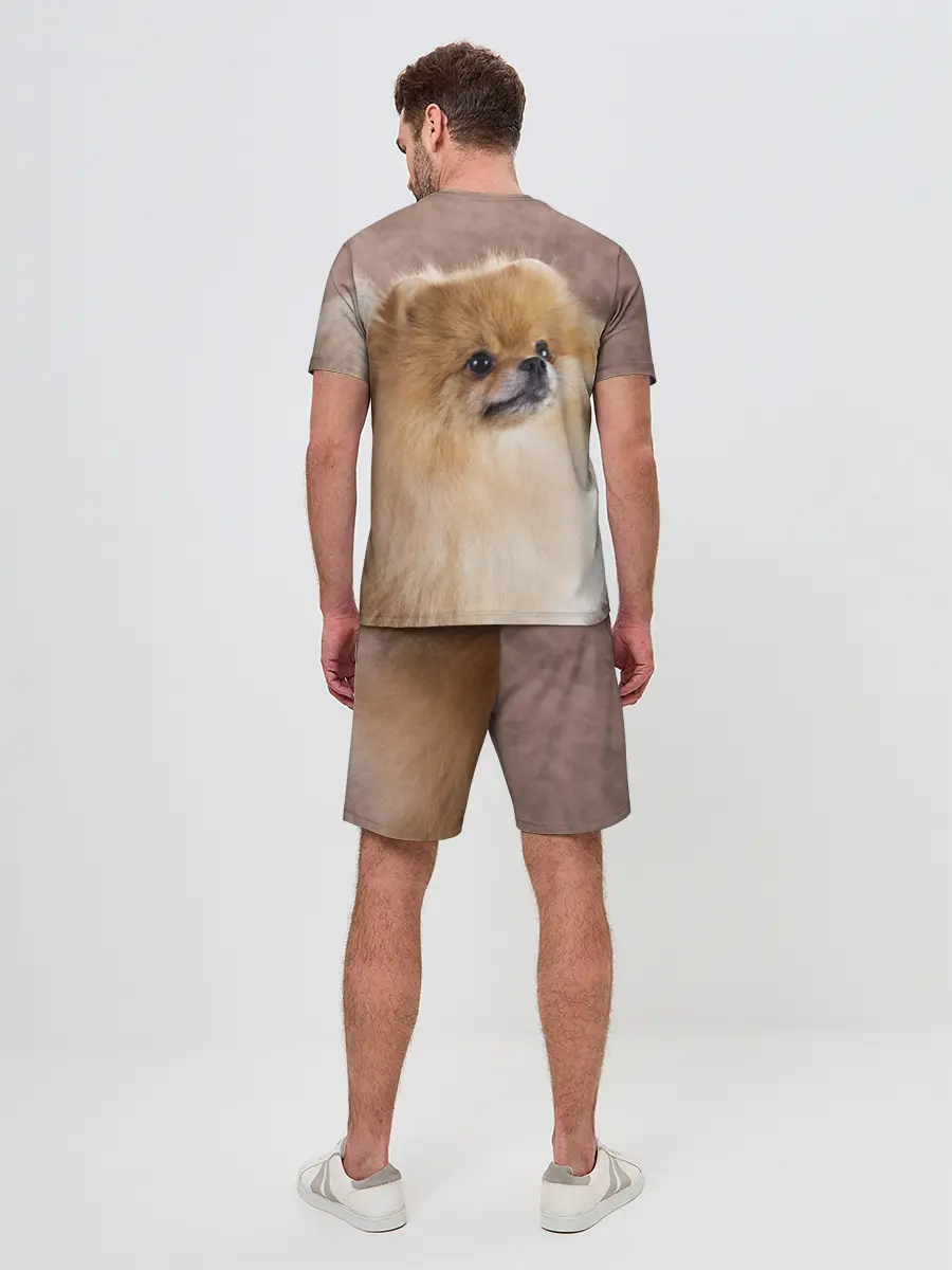 Мужской костюм с шортами / Шпитс