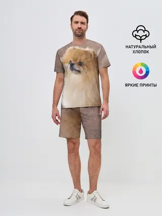 Мужской костюм с шортами / Шпитс