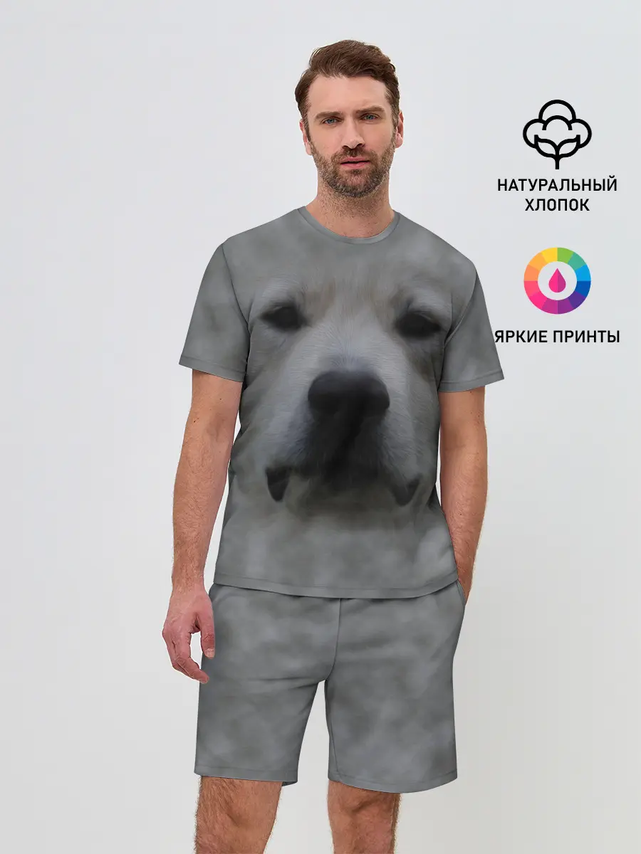 Мужской костюм с шортами / Лабрадор