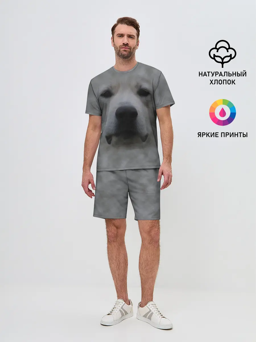 Мужской костюм с шортами / Лабрадор