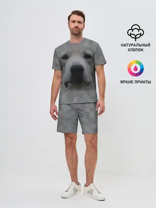 Мужской костюм с шортами / Лабрадор