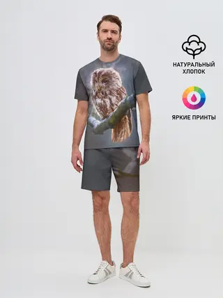 Мужской костюм с шортами / Сова