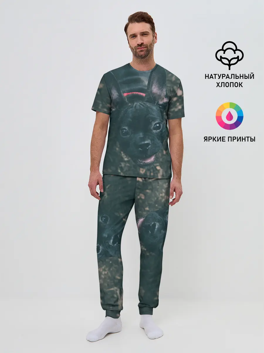 Мужская пижама с брюками / Бульдог морда собакена черного