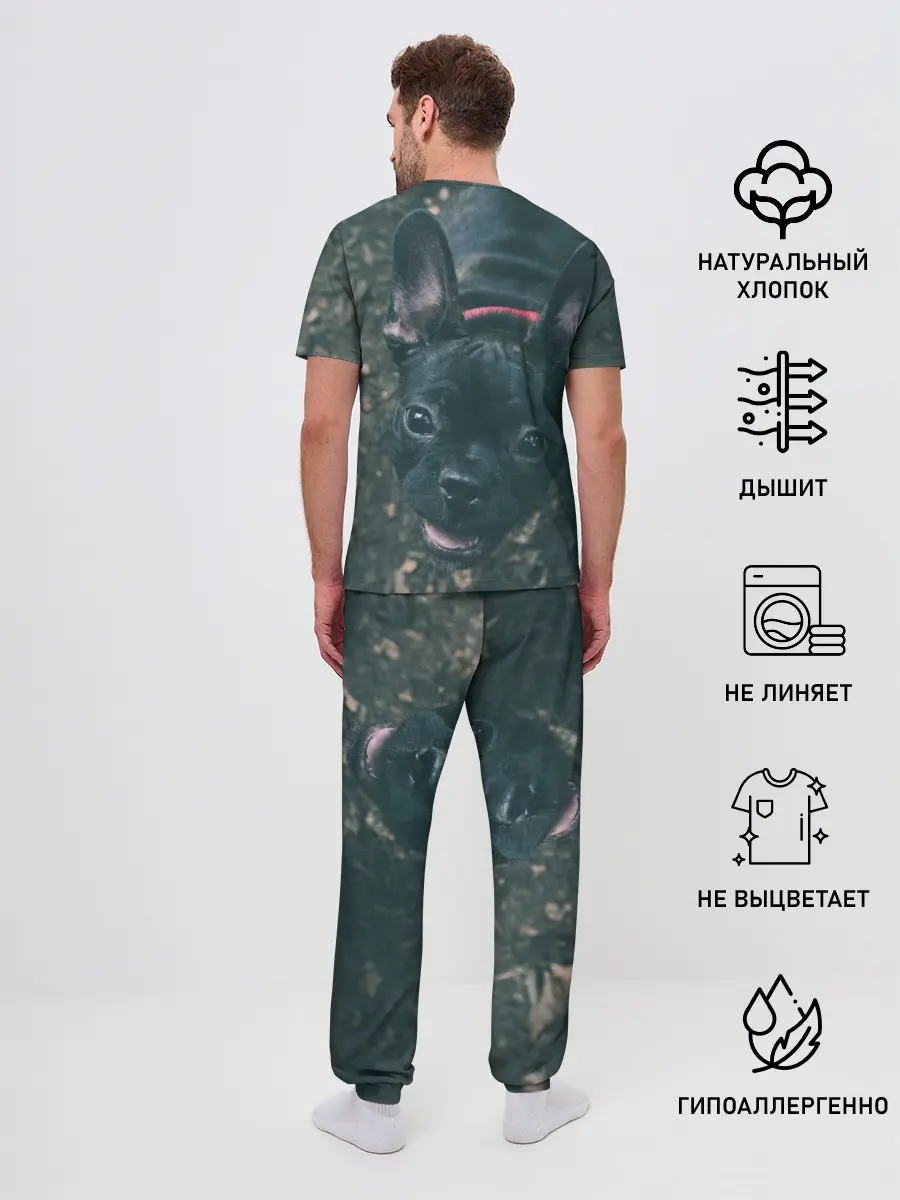 Мужская пижама с брюками / Бульдог морда собакена черного