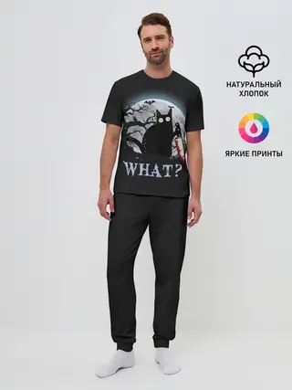 Мужская пижама с брюками / What Cat