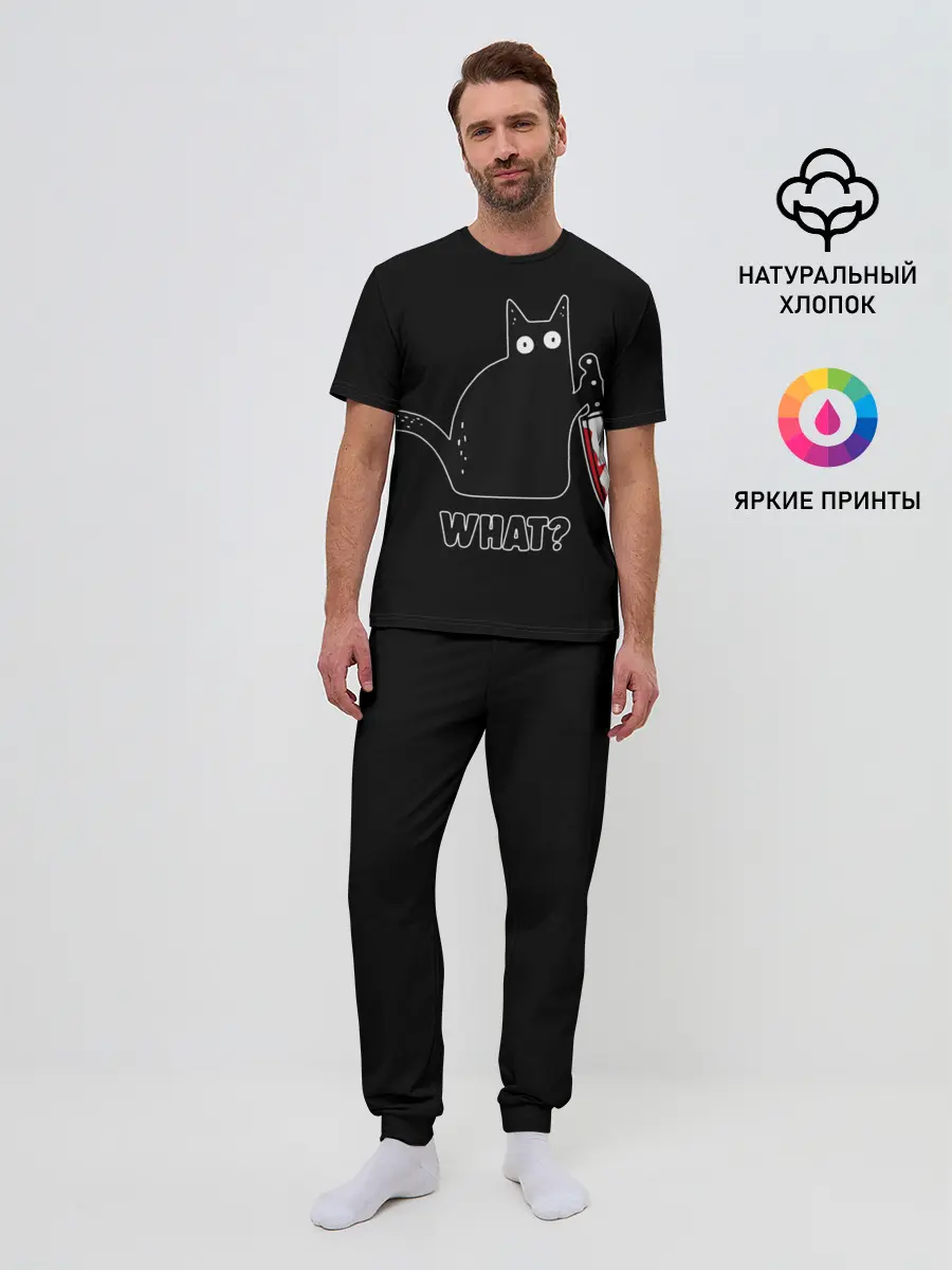 Мужская пижама с брюками / What Cat