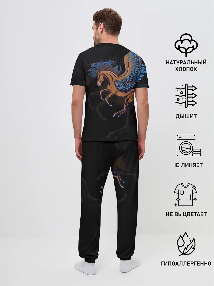 Мужская пижама с брюками / Pegasus wings