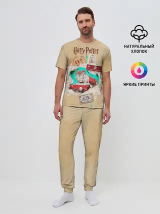 Мужская пижама с брюками / Harry Potter Hogwarts Express