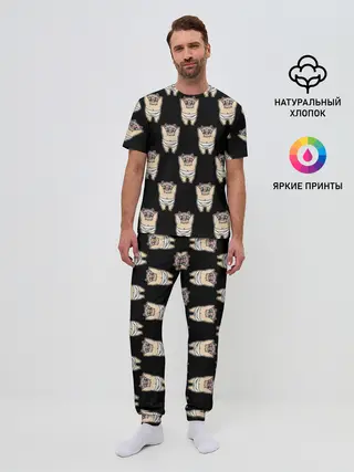 Мужская пижама с брюками / Иноске