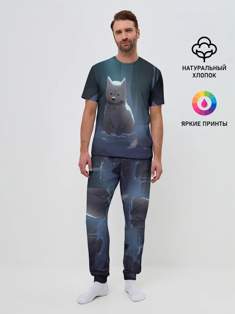 Мужская пижама с брюками / Одинокий пес в озере слез