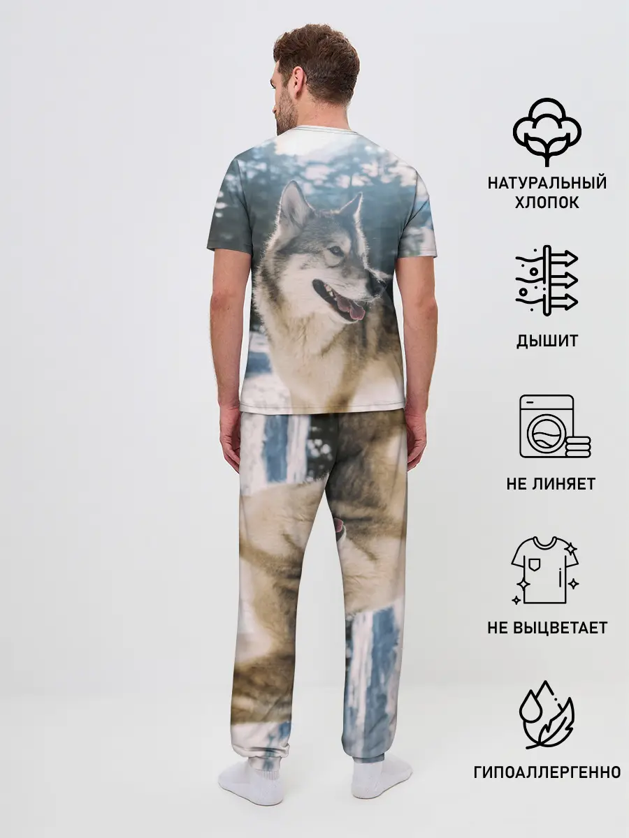 Мужская пижама с брюками / Волк и снег