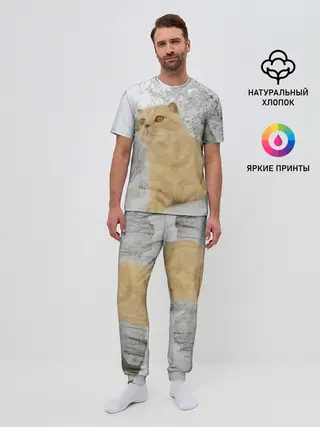 Мужская пижама с брюками / Кот и снег