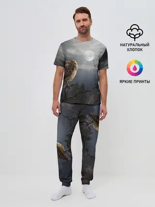 Мужская пижама с брюками / Сова