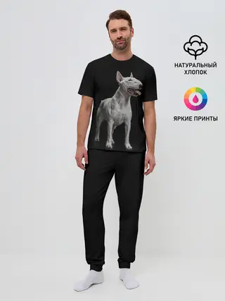 Мужская пижама с брюками / Bully