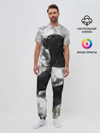 Мужская пижама с брюками / Лабрадор Марк