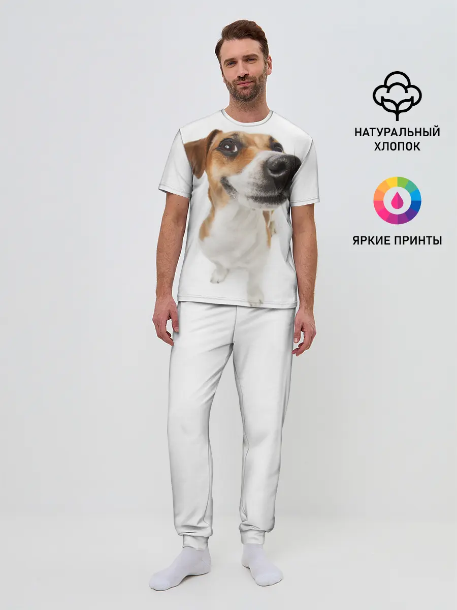 Мужская пижама с брюками / Собака