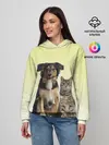 Женское худи / кошка и собака друзья