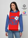 Женское худи / Сборная Исландии