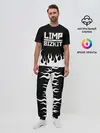 Мужская пижама с брюками / Limp Bizkit